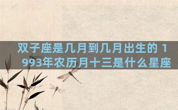 双子座是几月到几月出生的 1993年农历月十三是什么星座